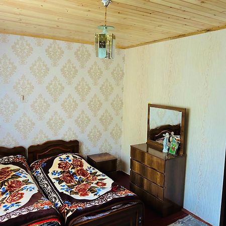 Vaso'S Guesthouse Katskhi エクステリア 写真