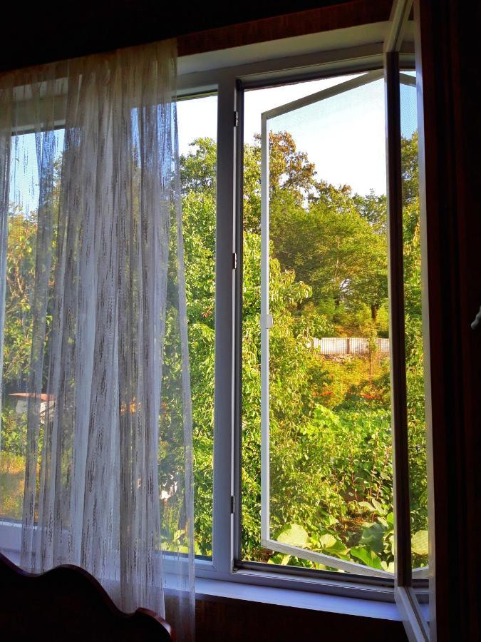 Vaso'S Guesthouse Katskhi エクステリア 写真