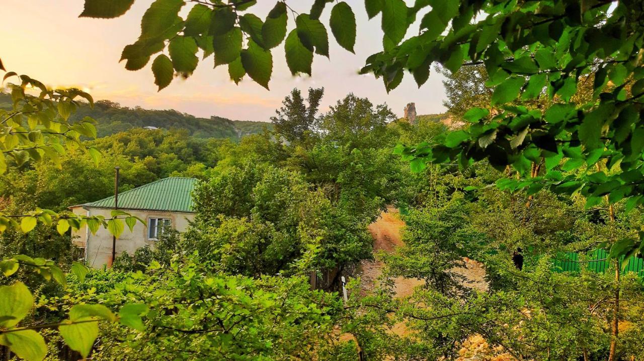 Vaso'S Guesthouse Katskhi エクステリア 写真