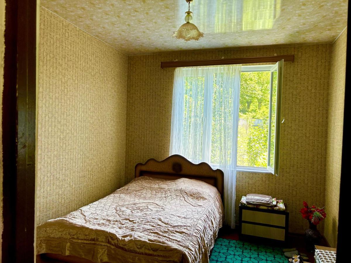Vaso'S Guesthouse Katskhi エクステリア 写真