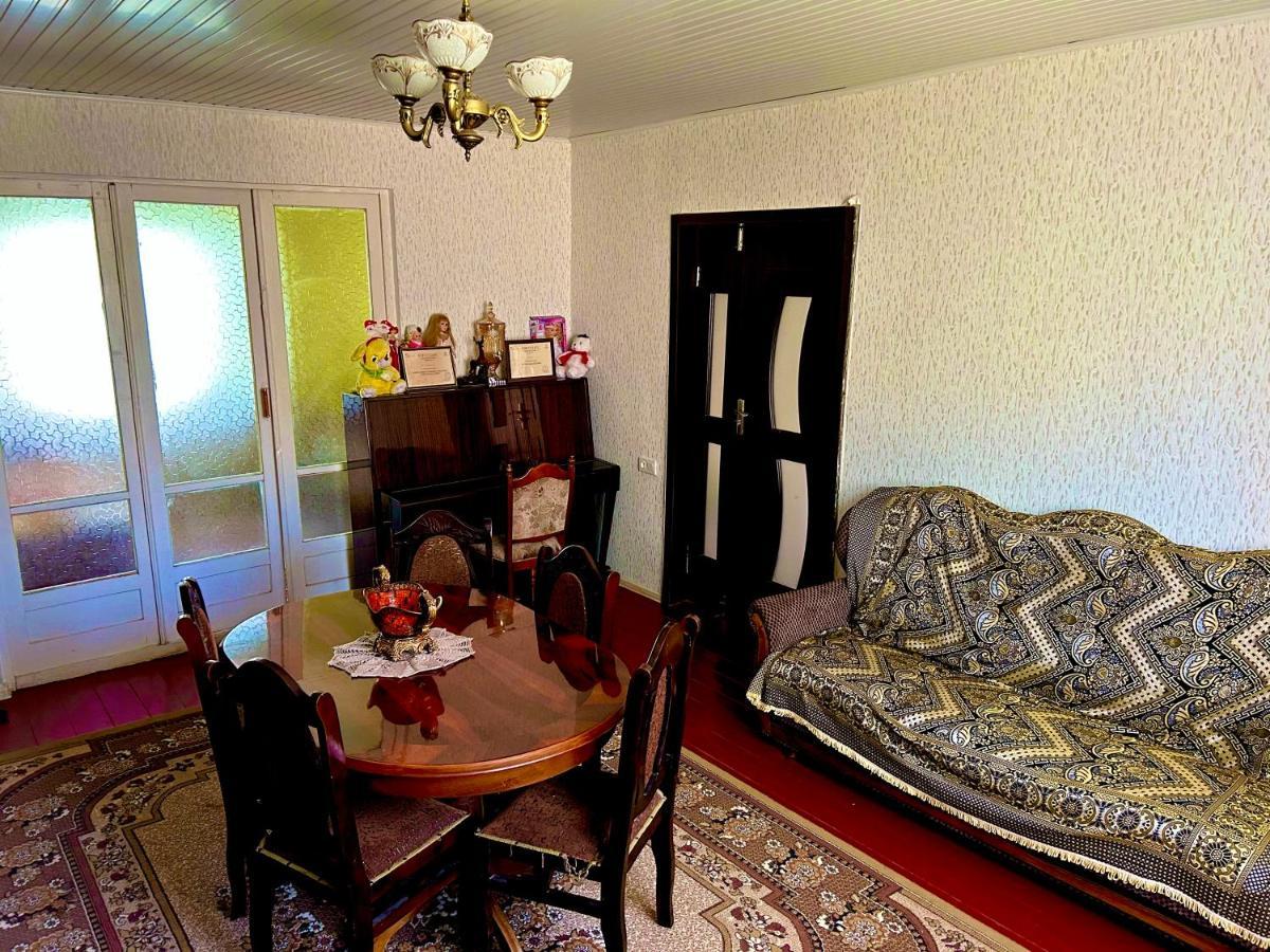 Vaso'S Guesthouse Katskhi エクステリア 写真