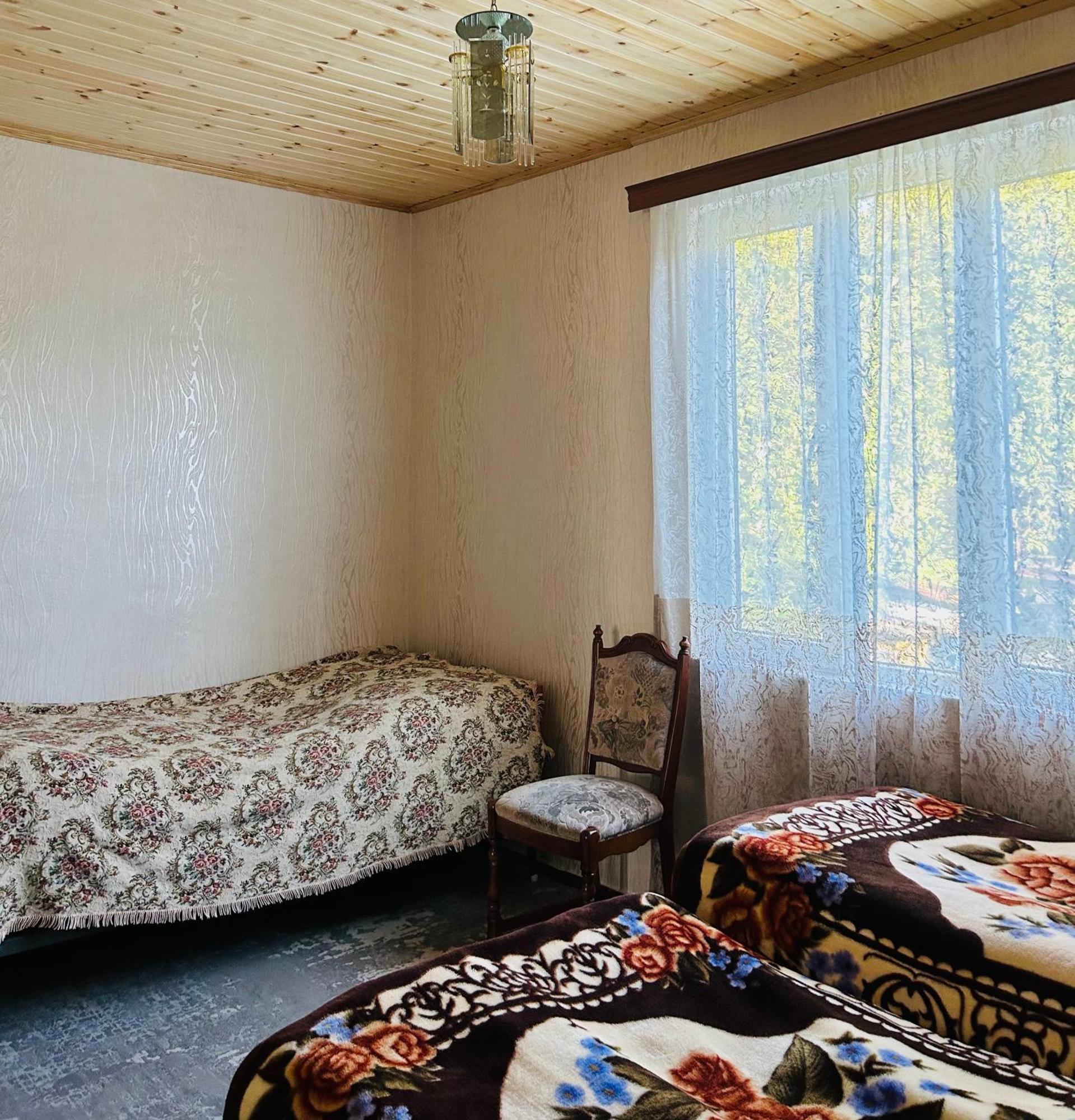 Vaso'S Guesthouse Katskhi エクステリア 写真
